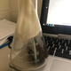 Oxidation of steel wool in a closed system to demonstrate law of conservation of mass
